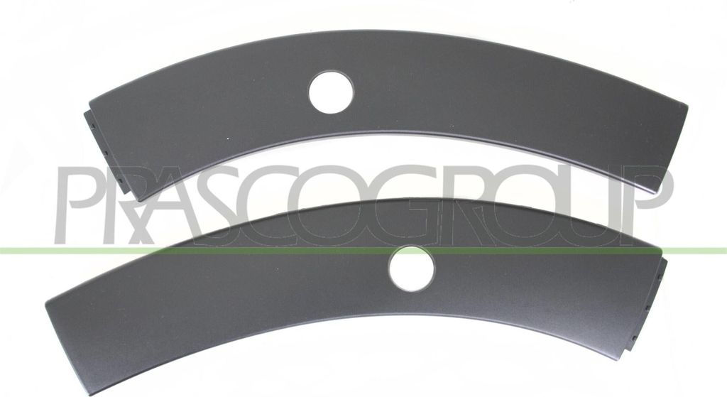 PRASCO CI3281580 - OE 1618037580 Kotflügelverbreiterung, vorne für C3 III (SX)