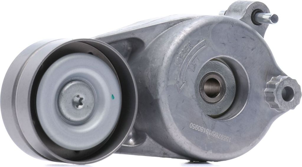 RIDEX 310T0311 Spannrolle Keilrippenriemen passend für MERCEDES-BENZ M-Klasse (W164) S-Klasse Limousine (W221) G-Klasse SUV (W463) R-Klasse GL (X164)