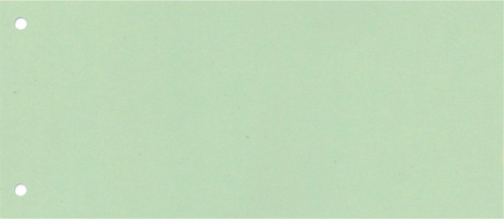 Trennstreifen 50501160KURZ 22x10,5cm grün Packung mit 30 Stück