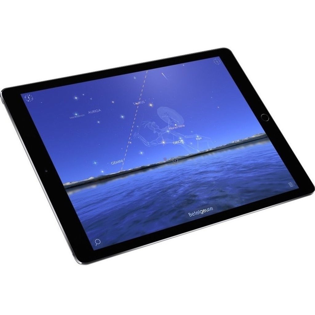 Apple iPad Pro 10.5 2017 512GB Space Gray 10,5 Zoll Wi-Fi