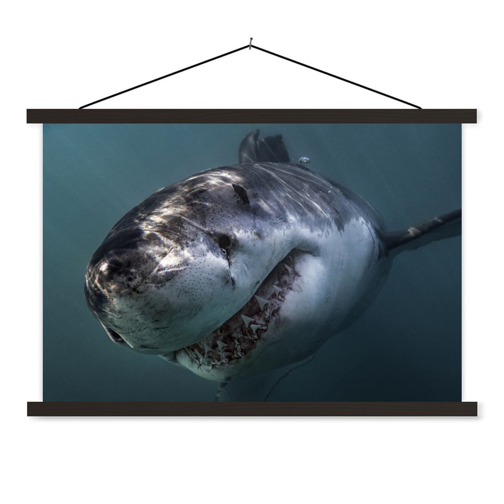 MuchoWow Textilposter Hai - Weiß - Wasser 120x80 cm mit schwarzem Rahmen - Wanddeko