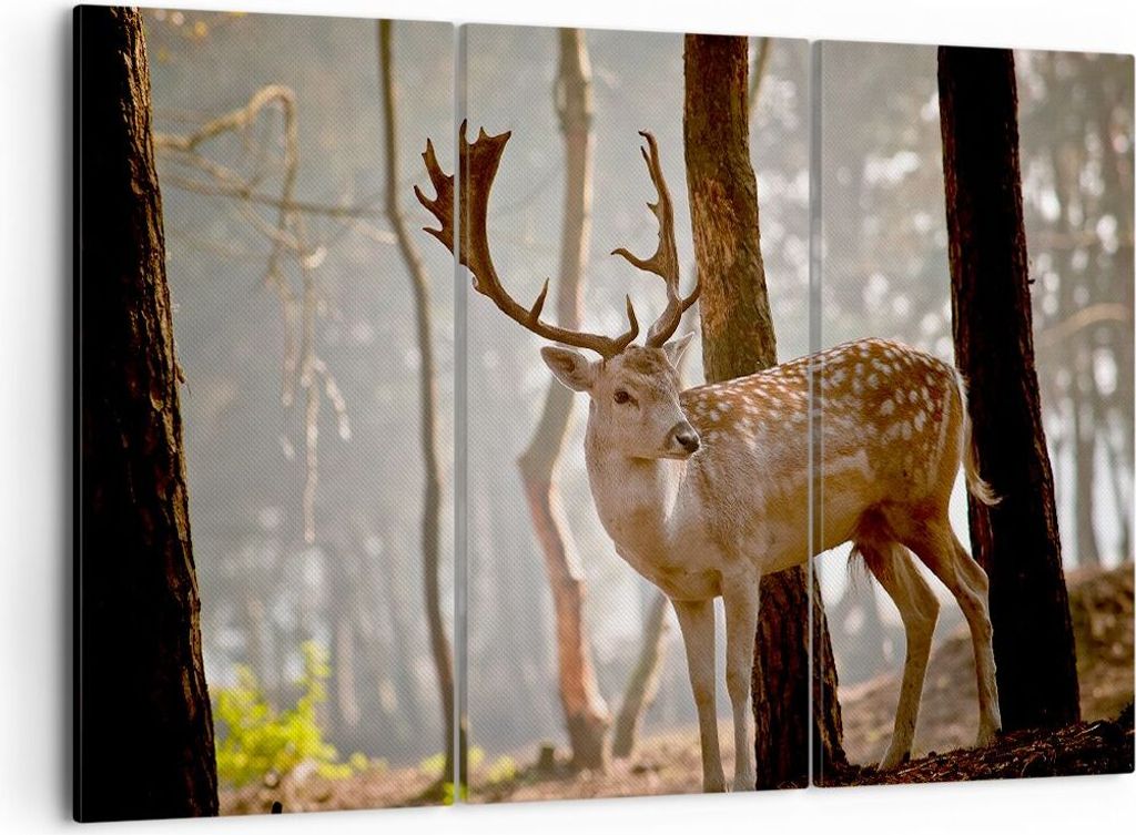 Bild auf Leinwand - Leinwandbild - Kitz Hirsch Tier wild - 105x70cm - Wand Bild - Wanddeko - Leinwanddruck - Bilder - Kunstdruck - Wanddekoration -...