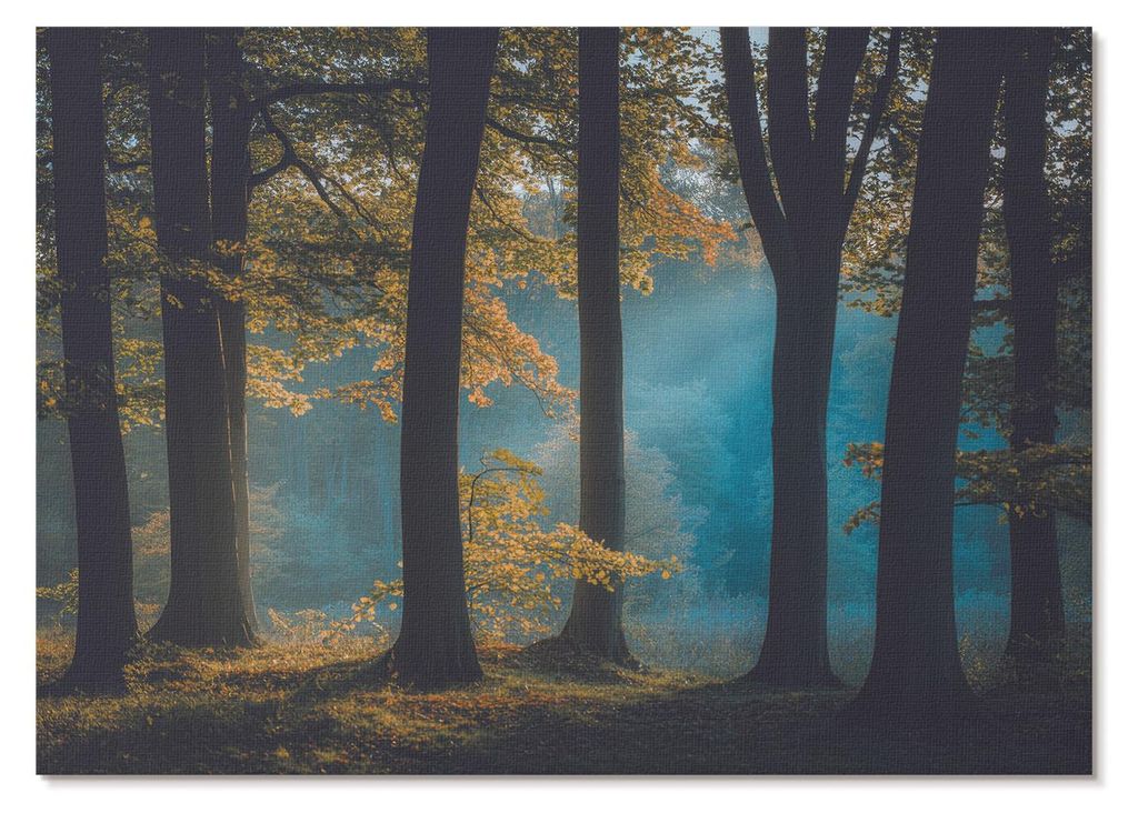POSTER - 42x29 cm (A3) - Nevara - Stiller Wald, Morgensonne, bunte Blätter - Wandbild für Wohnzimmer Schlafzimmer & Flur, Modernes Poster Wanddek...