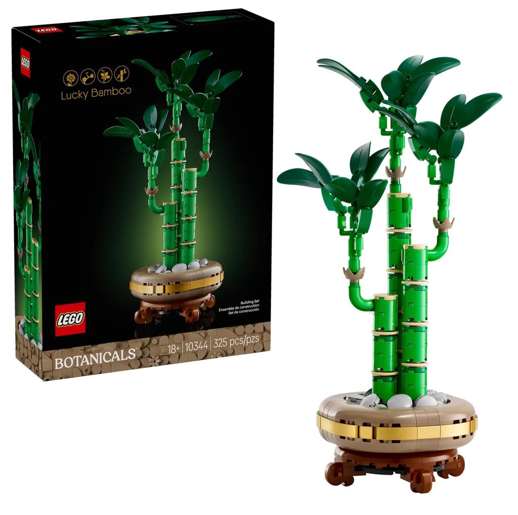 LEGO BOTANICALS 10344 Dracaena Sandera Image du produit 