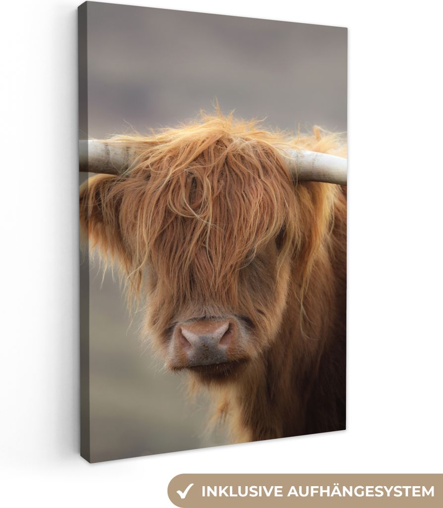 MuchoWow - Leinwandbilder - Schottischer Highlander - Hörner - Haare, Wandbild, Wanddeko Bilder Wohnzimmer, 80x120 cm