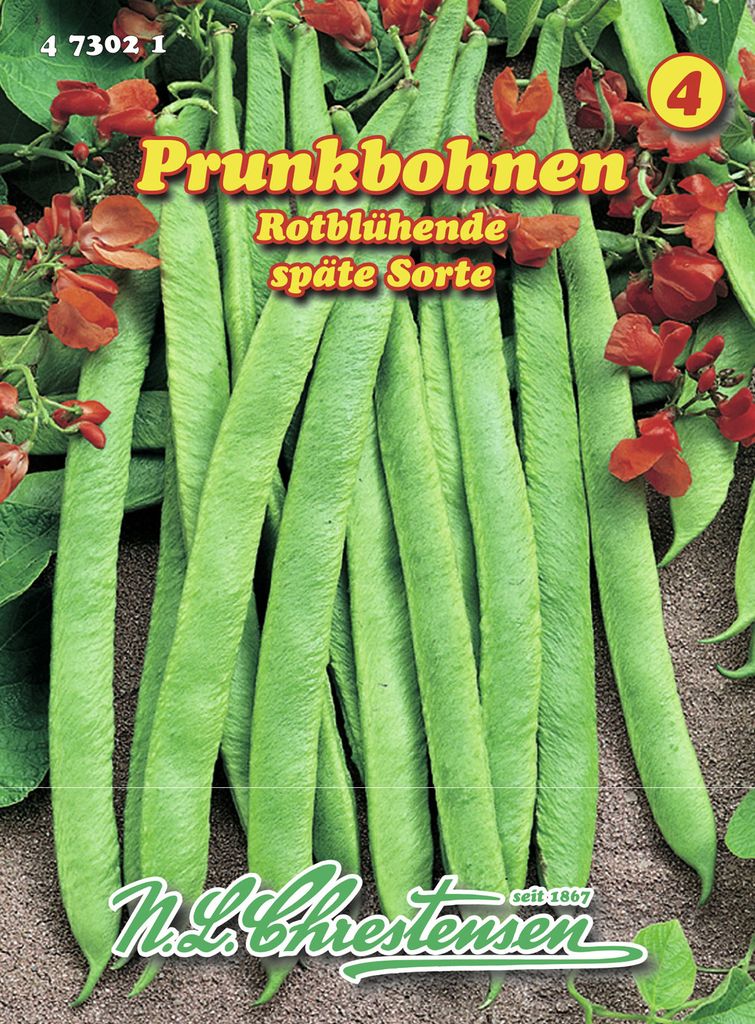 Prunkbohne Rotblühende | Prunkbohnensamen von N.L. Chrestensen