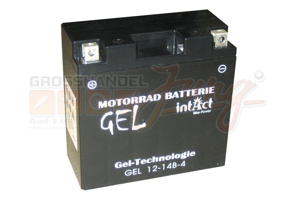 intAct Batterie Bike Power Gel - 30% Mehr Startleistung, Auslaufsicher