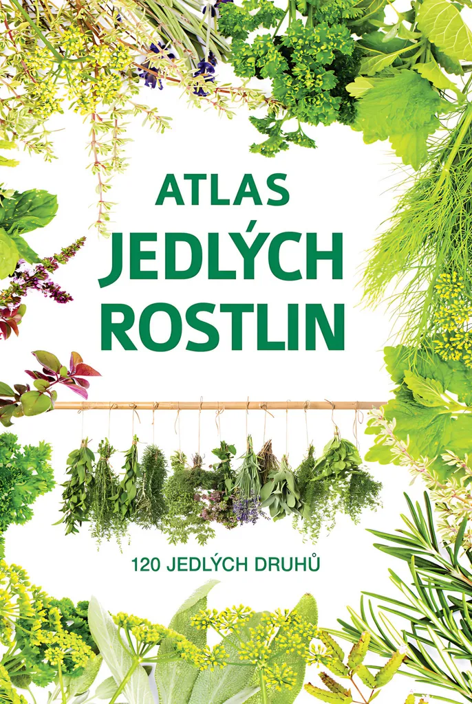 Livre plantes comestibles : apprendre à identifier 120 espèces en forêt