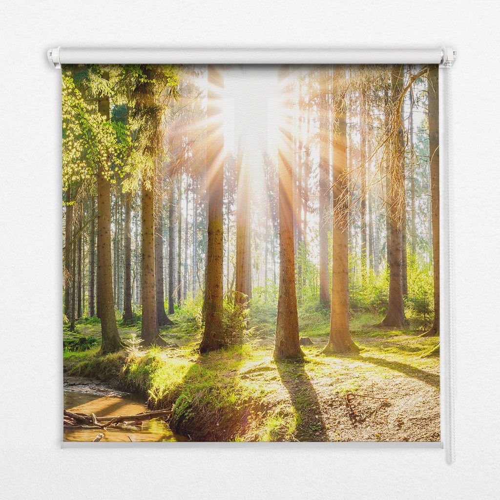 Seitenzug-Rollo Fensterrollo Jalousie - Thermo-Rollo Verdunkelungsrollo - 110x180 cm - Sonne bricht durch die Bäume