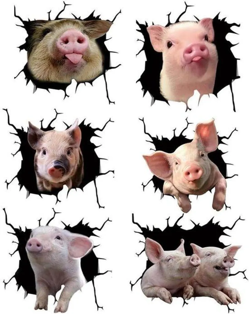 Autocollants 3D voiture animaux lot de 6 stickers réalistes 20x18cm