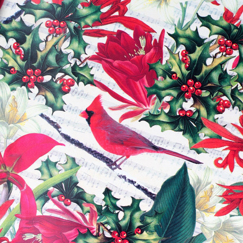Geschenkpapier Rotkardinal & Stechpalme 70cm x 2m Rolle Creme / Rot