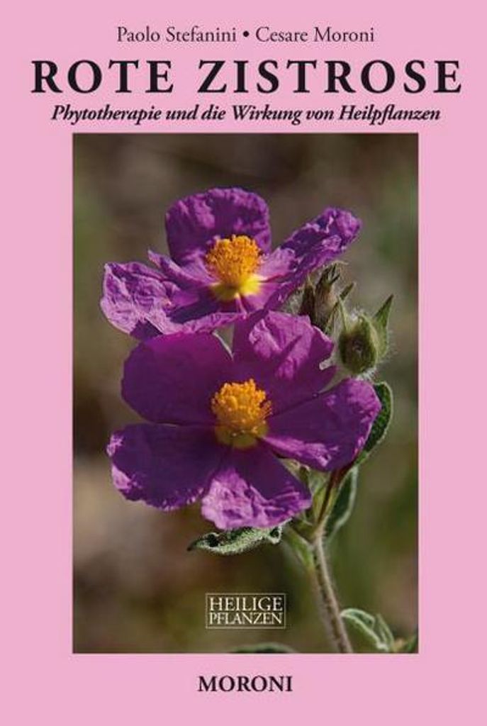 Rote Zistrose