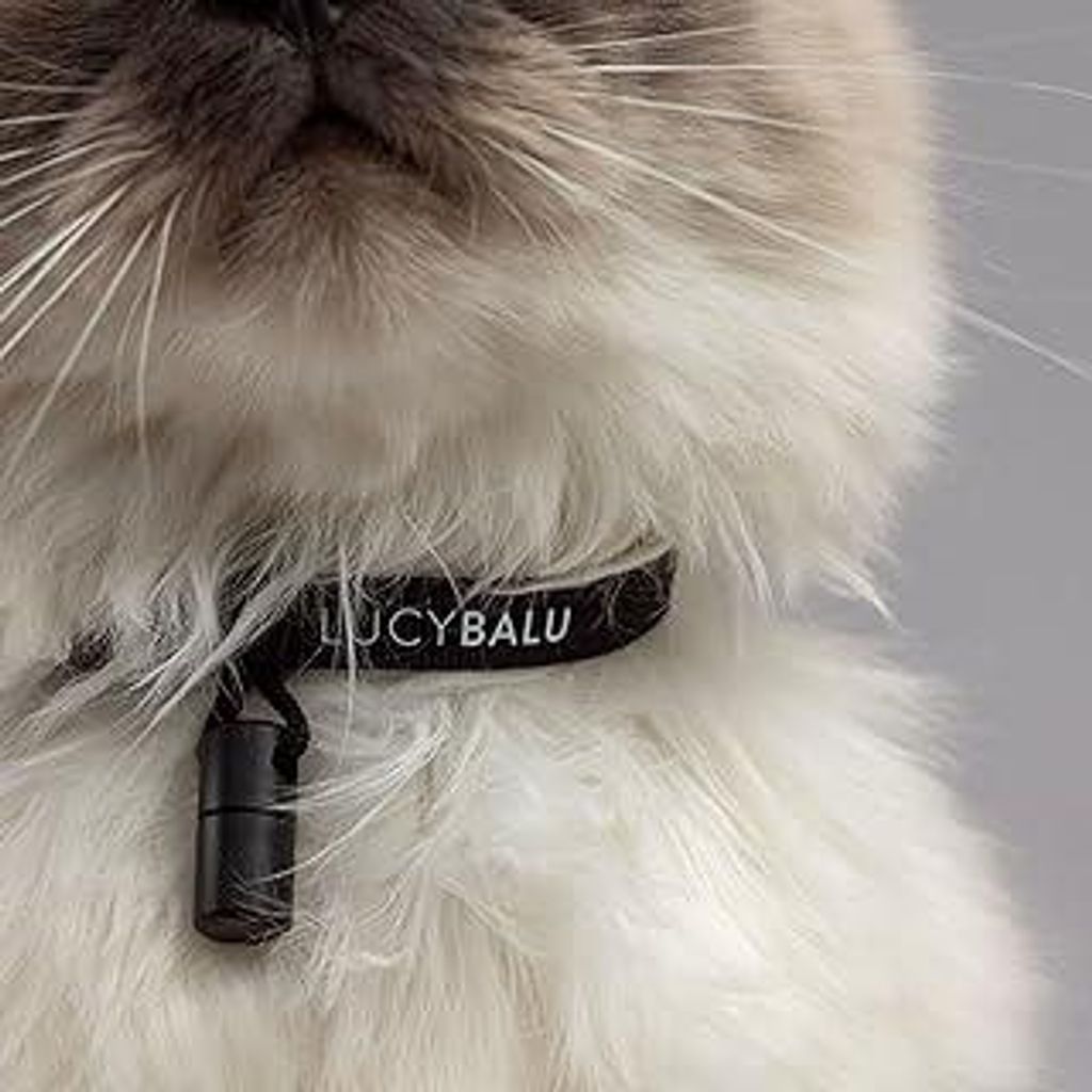 LucyBaluPremium Katzenhalsband mit Namenskapsel | Reißfestes Halsband aus Nylon | Katzen-Halsband mit Sicherheitsverschluss | Kapsel-Anhänger fü...