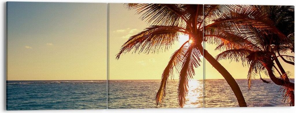 Bild auf Leinwand - Leinwandbild - Wolke exotischer Palm- Landschaft - 150x50cm - Wand Bild - Wanddeko - Leinwanddruck - Bilder - Kunstdruck - Lein...