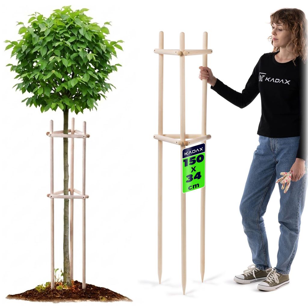 KADAX Baumstütze 150 cm aus robustem Holz, Baumpfahl zur sicheren Fixierung junger Bäume & Sträucher, dreibeinige Pflanzenstütze aus Buchenholz...