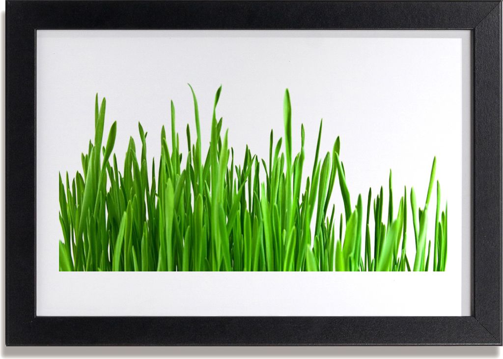 Bild 30x20 MDF-Rahmen Wandkunst Gras Natur Pflanze