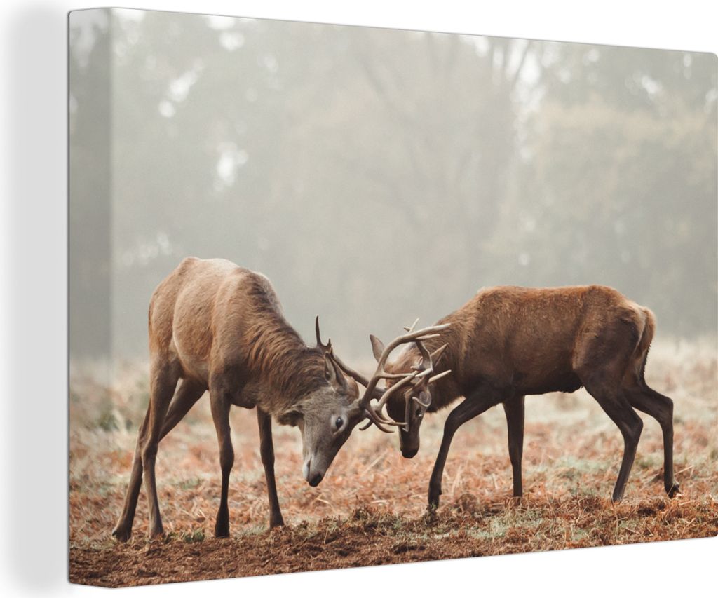 OneMillionCanvasses - Leinwandbilder - 140x90 cm, Hirsche - Wald - Gras, Wandbilder Kunstdruck Wanddekoration