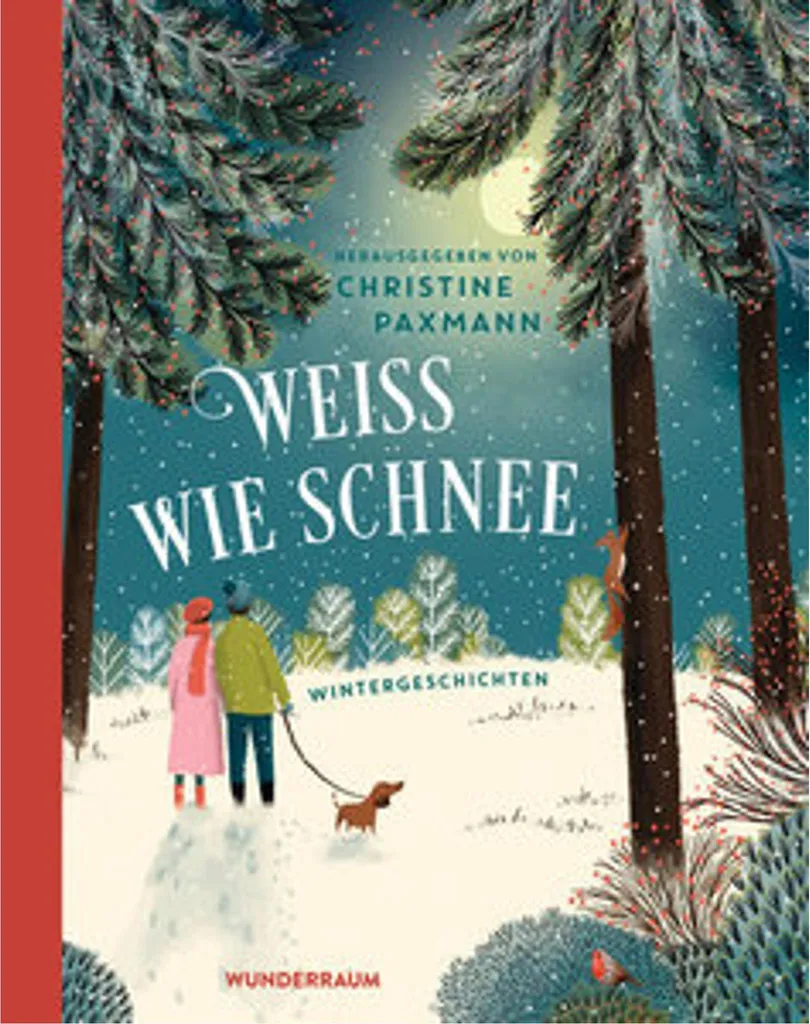 Livre de contes Blanc comme neige Histoires d'hiver pour les soirées froides