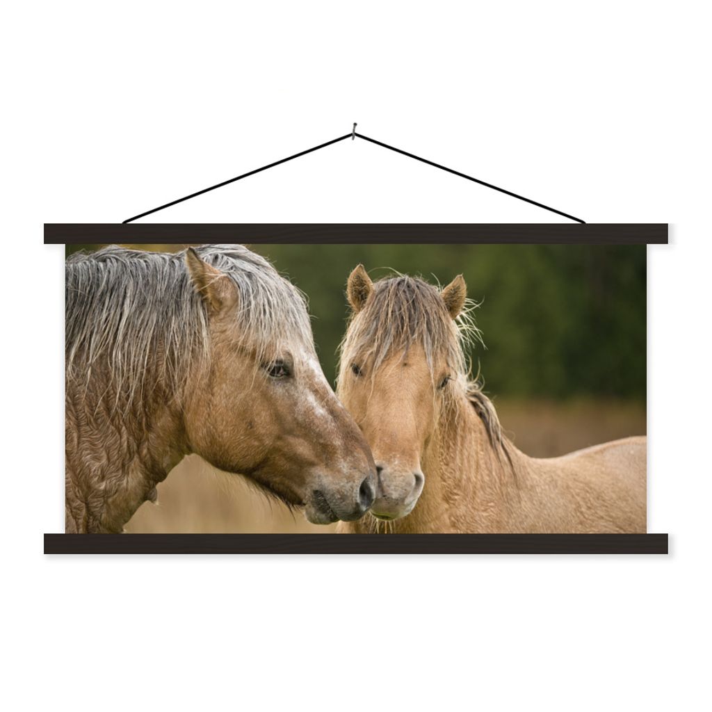 MuchoWow Textilposter Nahaufnahme von kuschelnden Fjordpferden 150x75 cm mit schwarzem Rahmen - Posterleiste