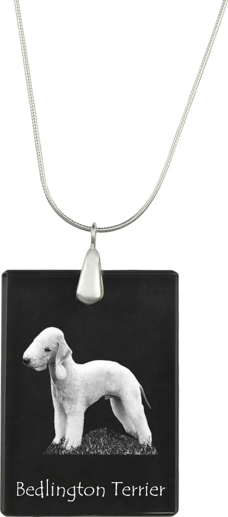 Ciondolo Personalizzato Bedlington Terrier | Collana Argento Foto