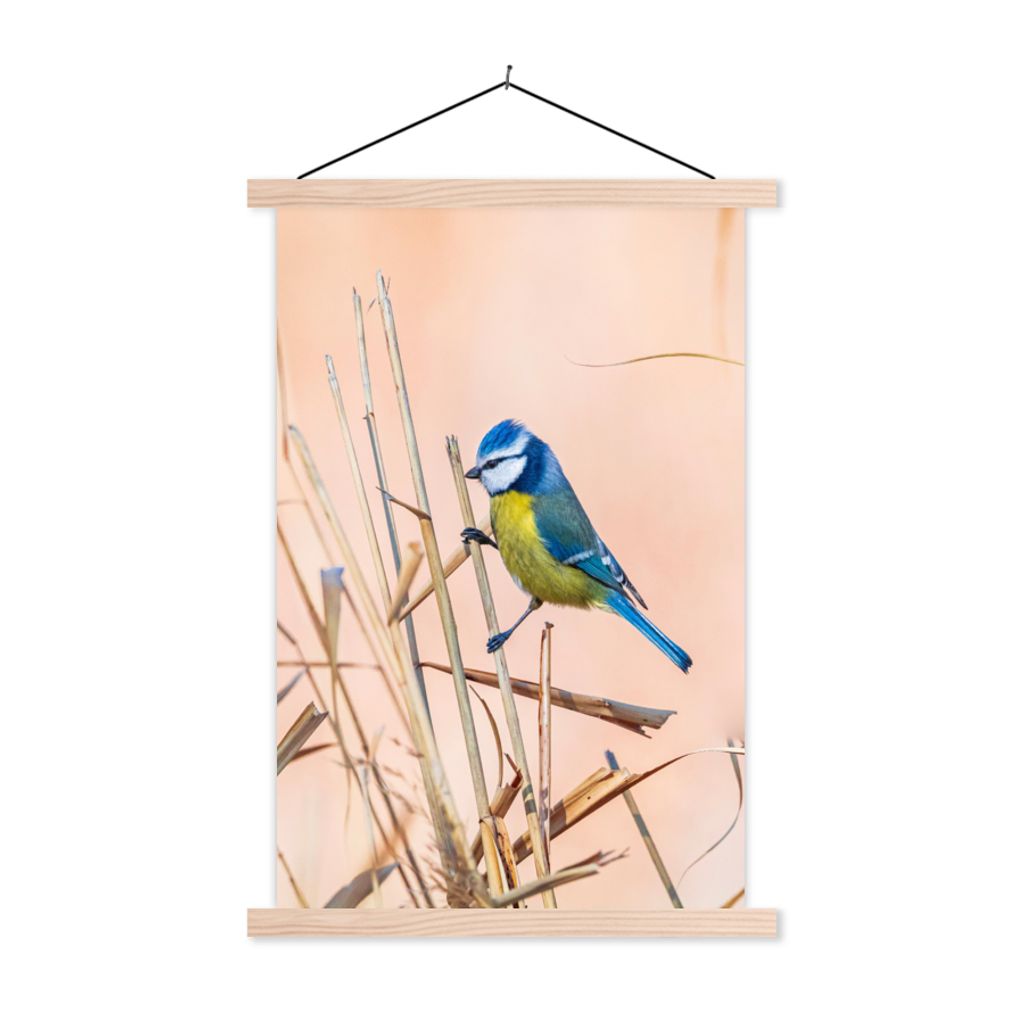 MuchoWow Textilposter Vogel - Blaumeise - Schilf 120x180 cm mit holzfarbenen Rahmen - Textil-Plakat