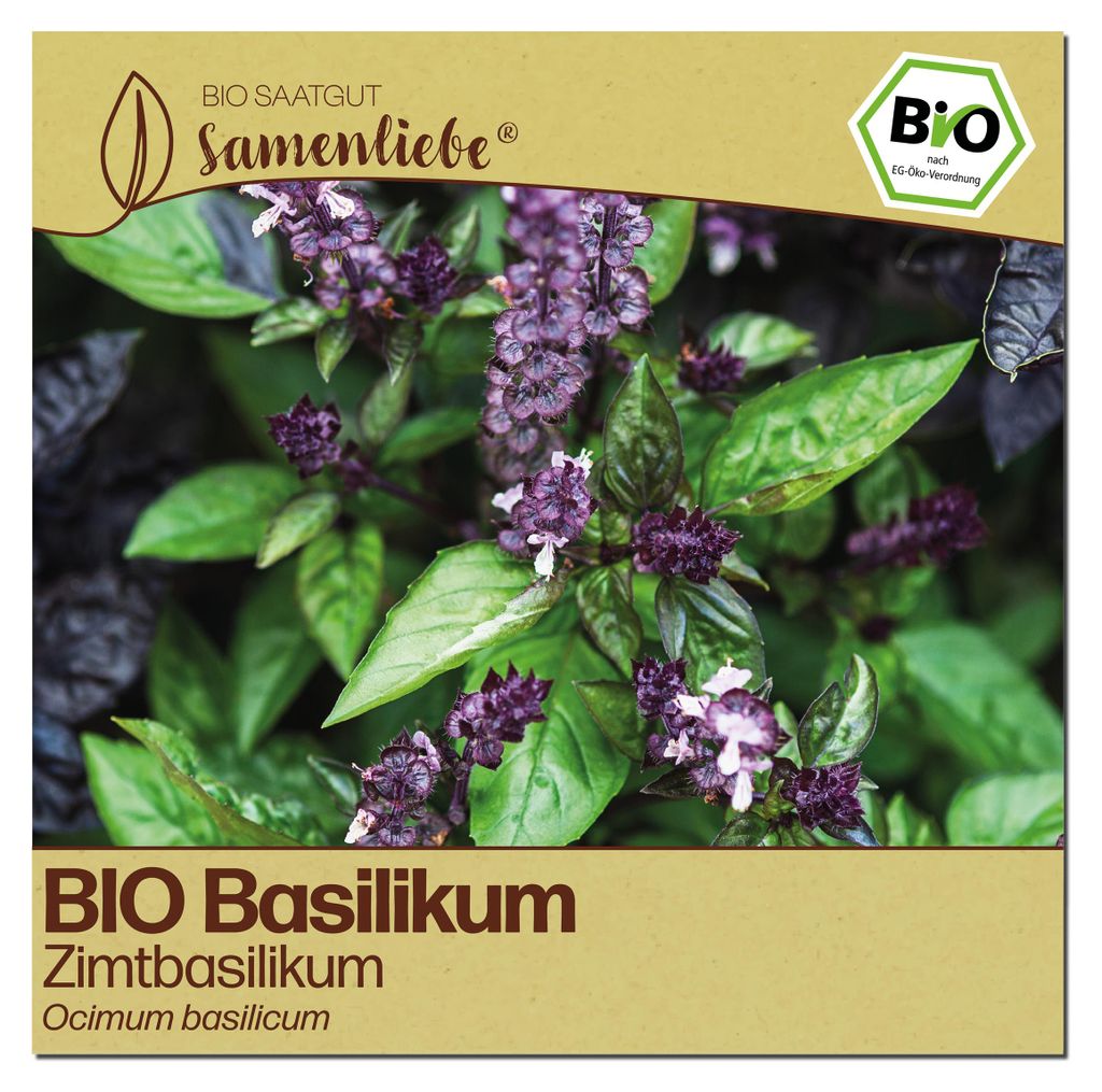 Samenliebe  Basilikum Samen | Zimtbasilikum - samenfestes  Produktbild 