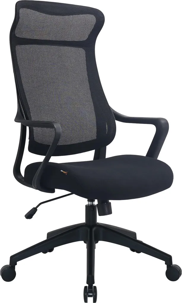 Fauteuil de bureau ergonomique AlzaErgo Dune 2 noir pour le télétravail