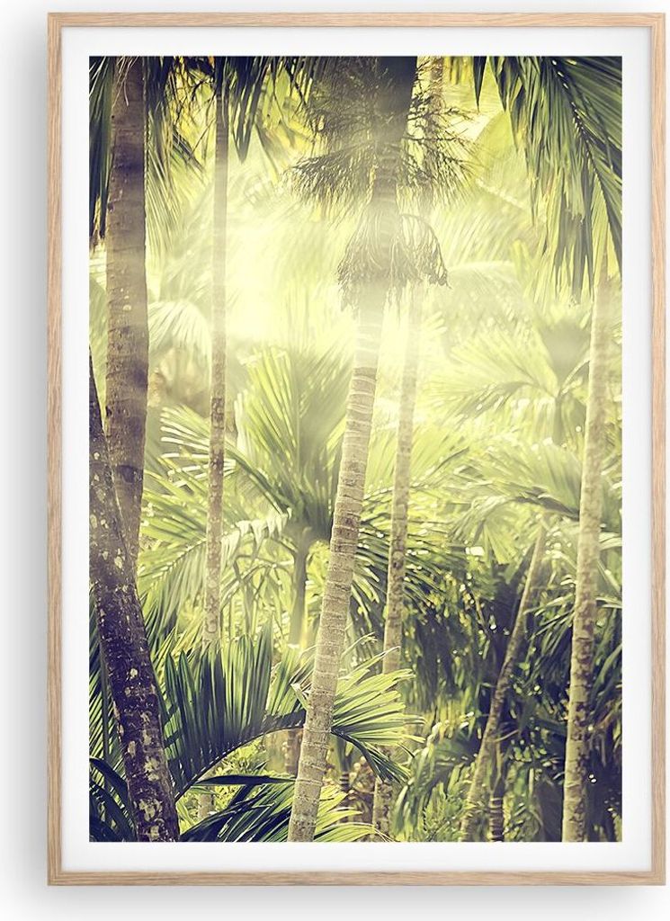 Gerahmtes Poster - Rahmen in heller Eiche - Morgendämmerung Dschungel Palmen - 70x100 cm - Wand Bild - Wanddeko - Wandbilder - Kunstposter - Wandp...