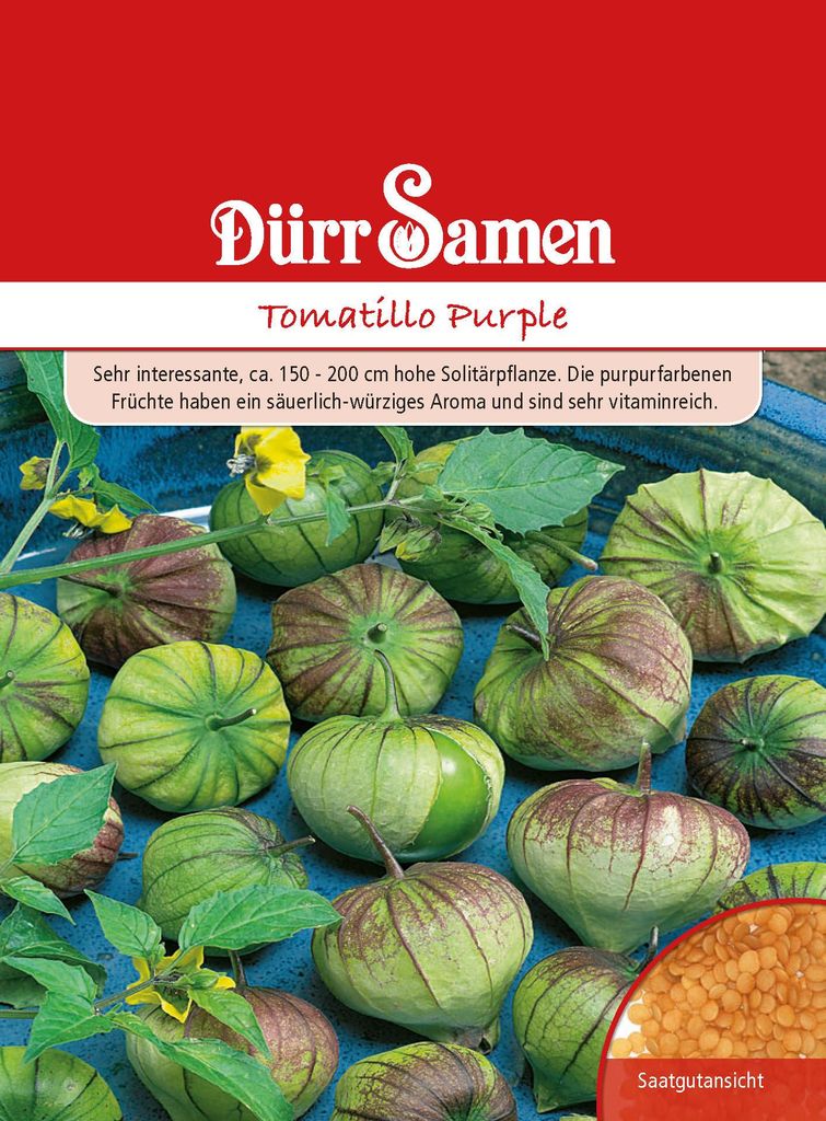 Tomatillo Purple | Tomatillosamen von Dürr Samen Produktbild 