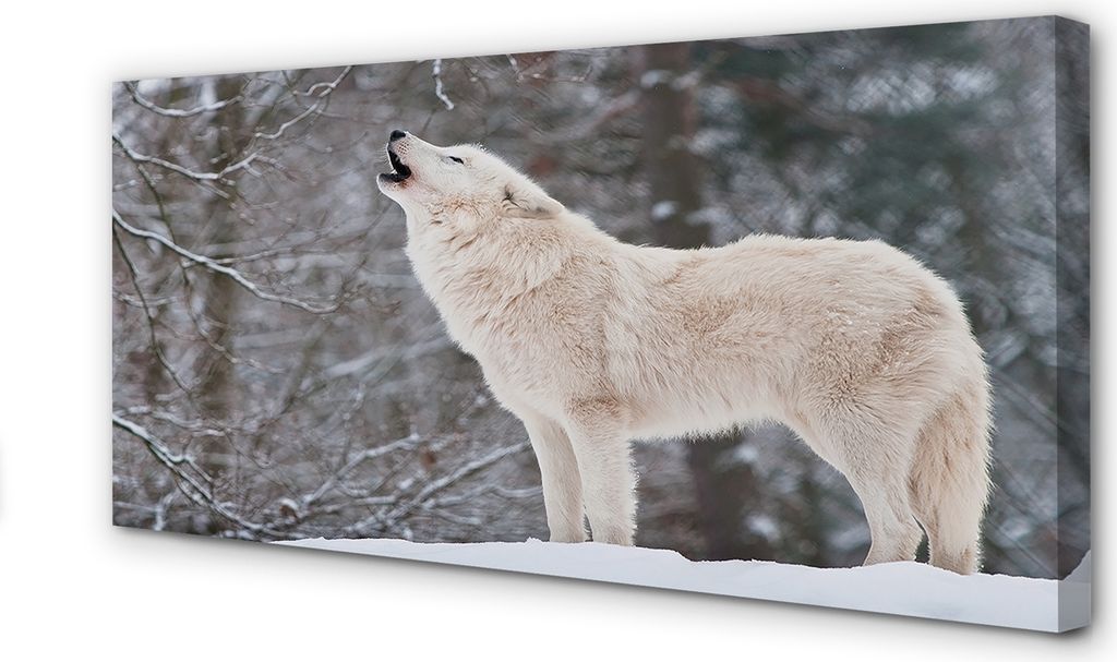 Leinwandbild 120x60 Wandkunst Wolf Winterwald