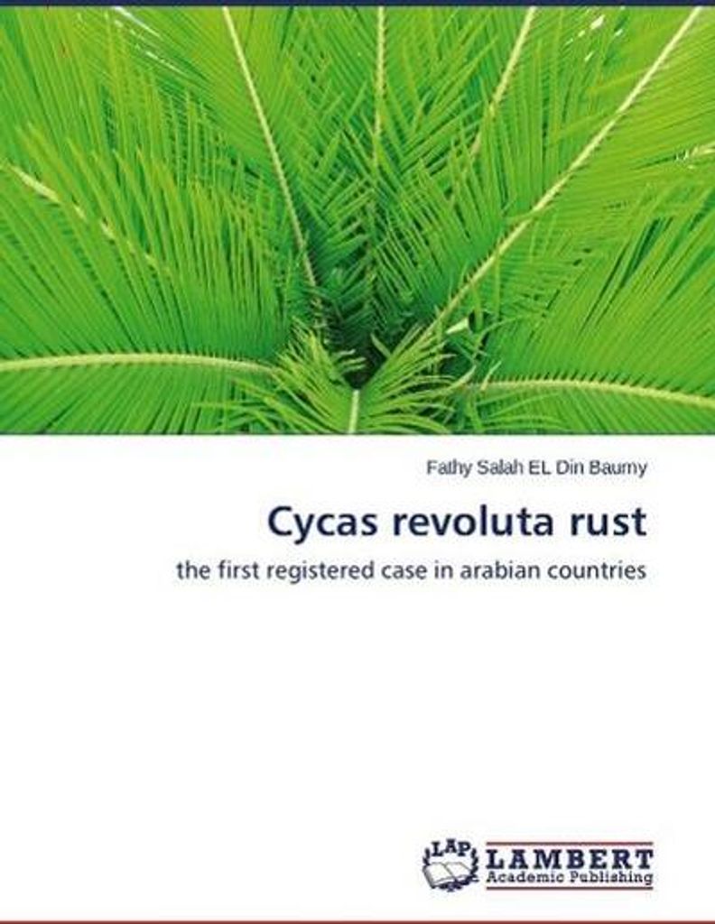 Cycas revoluta rust