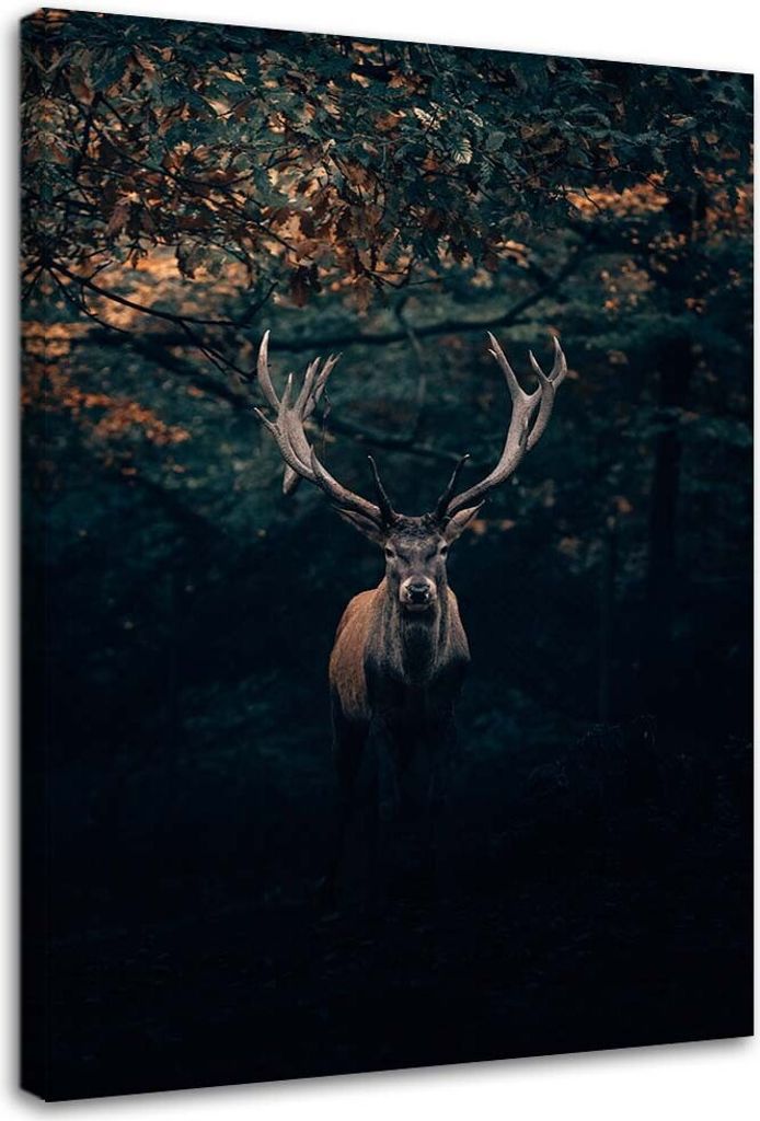 Leinwandbild rehe im gebüsch 70x100 cm Feeby grün wandbild Produktbild 