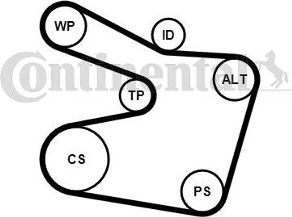 Courroie Trapézoïdale Crantée 6PK1538K2 Continental pour BMW E38 et E39