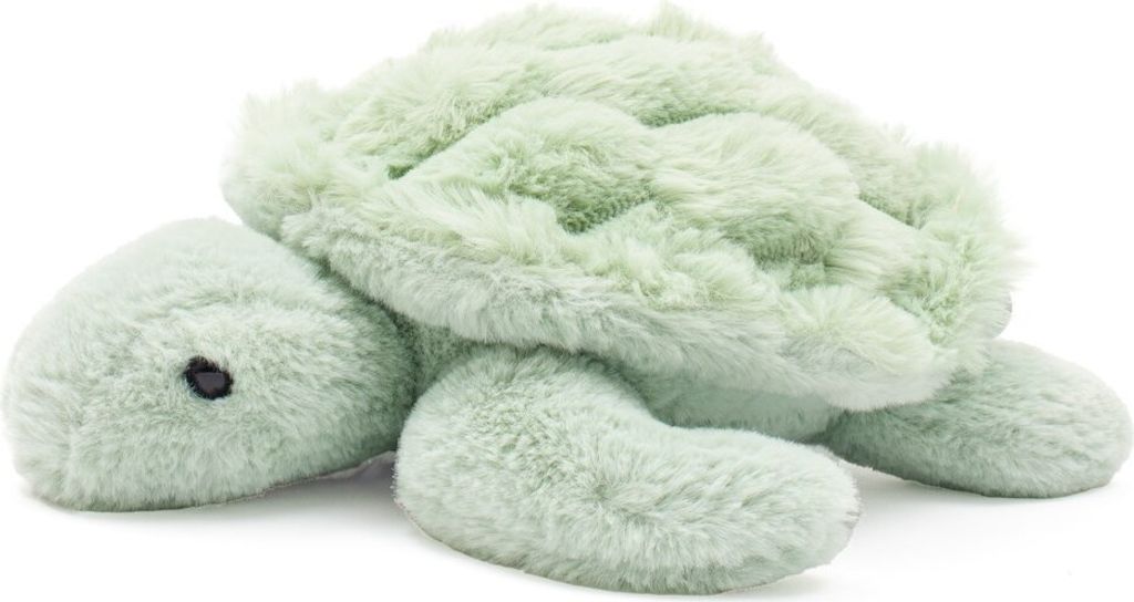 A plush toy turtle on a white background.