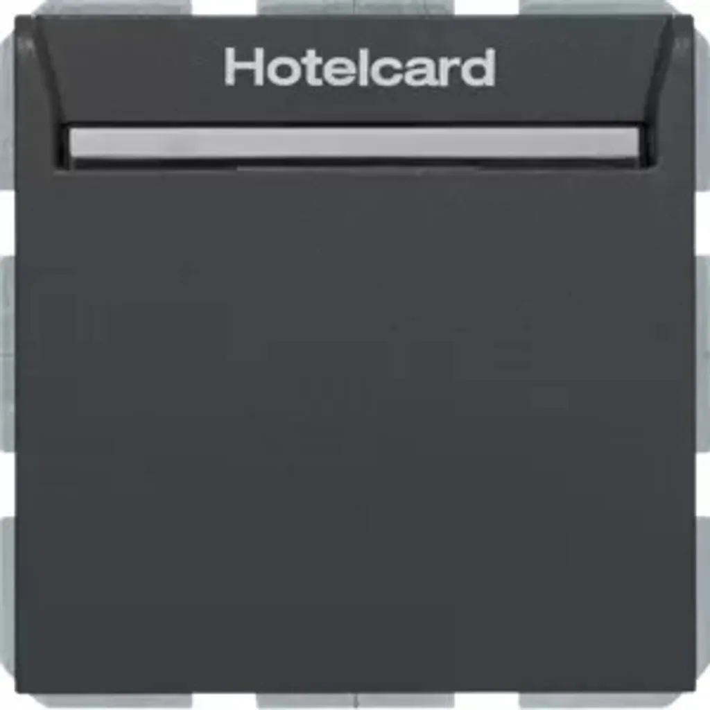 Lecteur de Carte d'Hôtel Berker 16409906 Anthracite pour Relais S.1 B.3