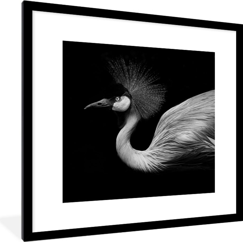 MuchoWow Gerahmtes Poster Kranich - Schwarz - Weiß - Vogel - Tiere 40x40 cm - Poster mit Schwarzem Bilderrahmen Wandposter Rahmen Foto Bilder - ...