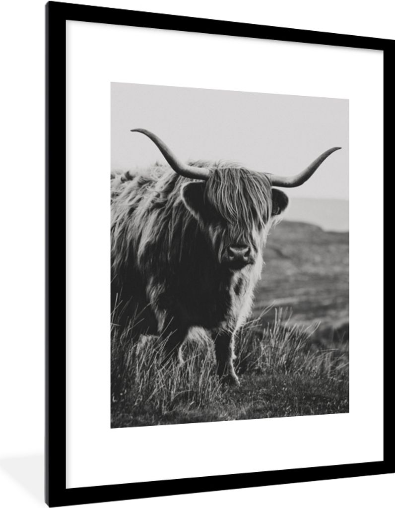 MuchoWow Gerahmtes Poster Schottische Hochlandbewohner - Natur - Kühe - Tiere - Schwarz und weiß 60x80 cm - Poster mit Schwarzem Bilderrahmen W...