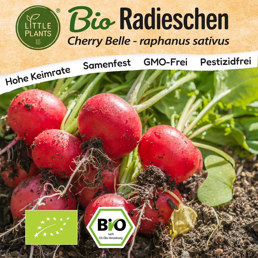 Radieschen Samen (BIO) - 200 Samen Gemüsesamen Radieschensamen Cherry Belle