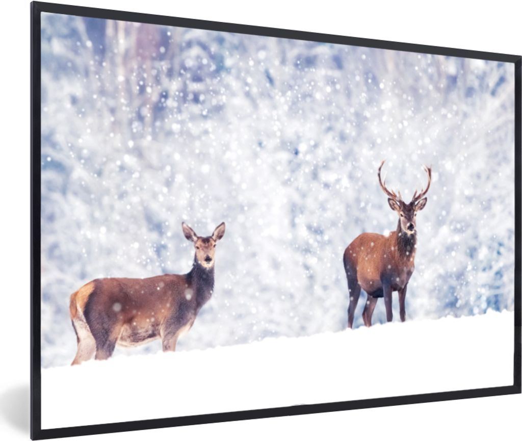 MuchoWow MuchoWow Gerahmtes Poster Hirsche - Tiere - Schnee 60x40 cm - Poster mit zchwarzem Bilderrahmen - Printing - Wanddeko Schlafzimmer