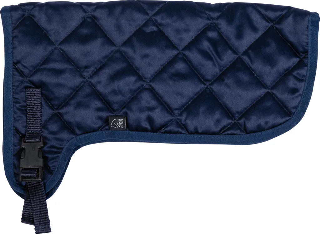 Couverture de Présentation Hobby Horsing - Idéal pour Concours et Jeux