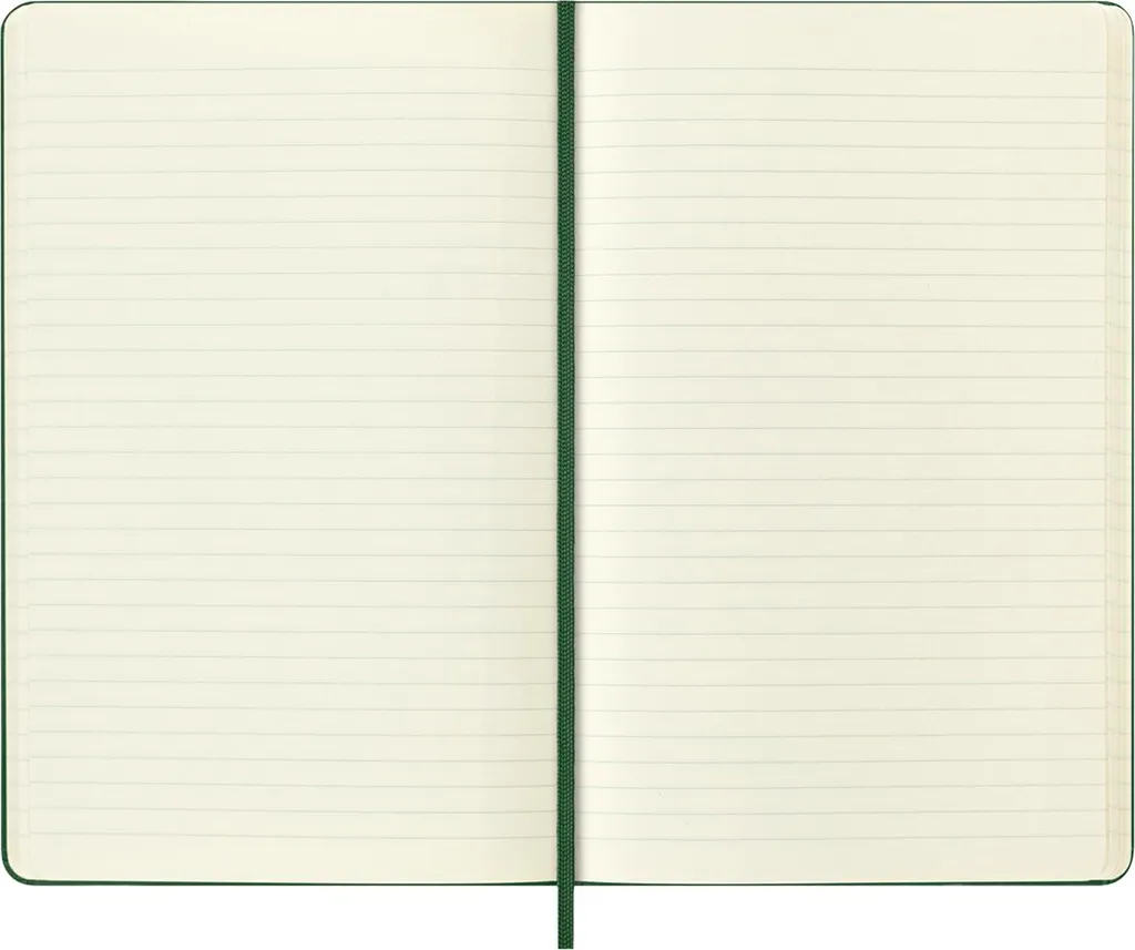 Carnet de notes Moleskine Holiday L/A5 Vert Myrte - Reliure Rigide - 4