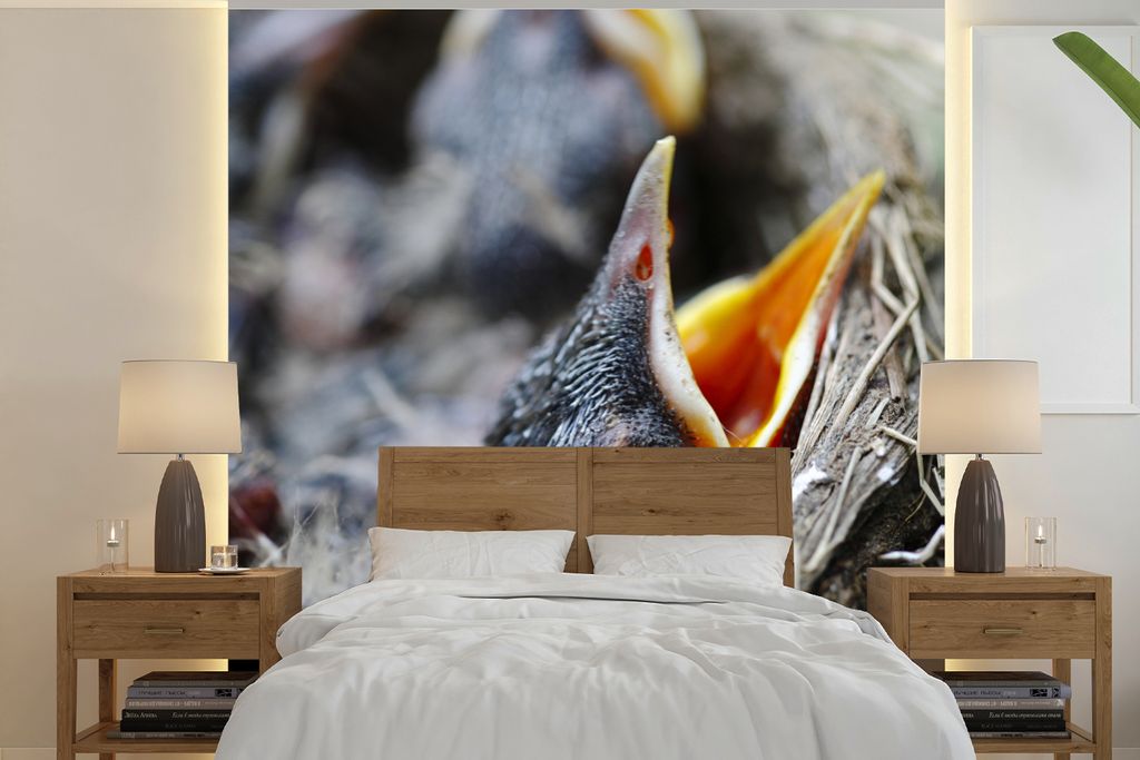 MuchoWow Fototapete für Wohnzimmer oder Schlafzimmer Wandtapete Vinyl Motivtapete Junge - Robin - Essen - 350x350 cm - Schlafzimmertapete