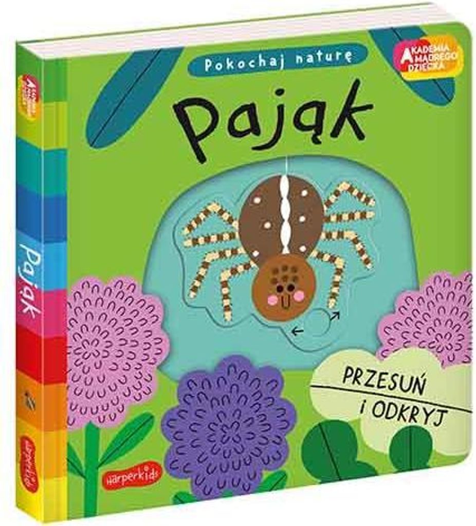 Pająk. Akademia mądrego dziecka. Pokochaj naturę