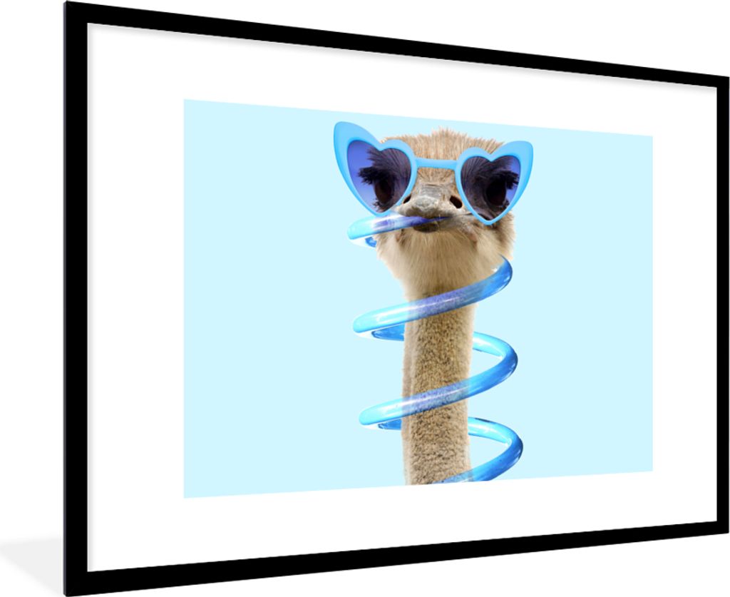MuchoWow Gerahmtes Poster Strauß - Sonnenbrille - Blau - Tiere 90x60 cm - Poster mit Schwarzem Bilderrahmen Wandposter Rahmen Foto Bilder - Wand...