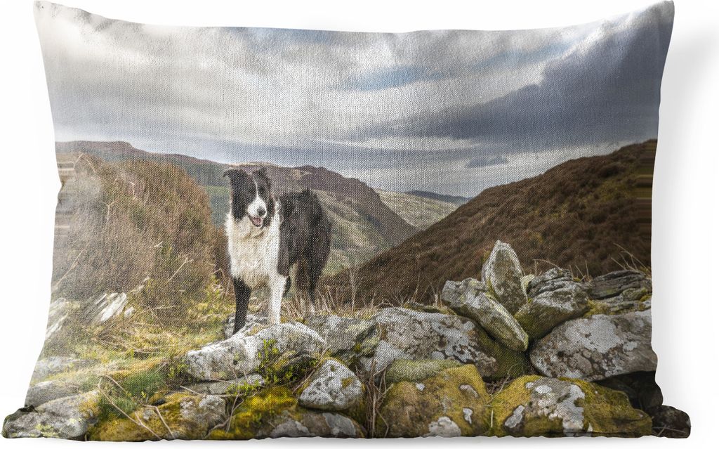 MuchoWow Outdoor Kissen - Ein Border Collie steht auf dem Gipfel des Berges - 50x30 cm - Wetterfest - Lounge Kissen - Sofa kissen - Wohnzimmer De...