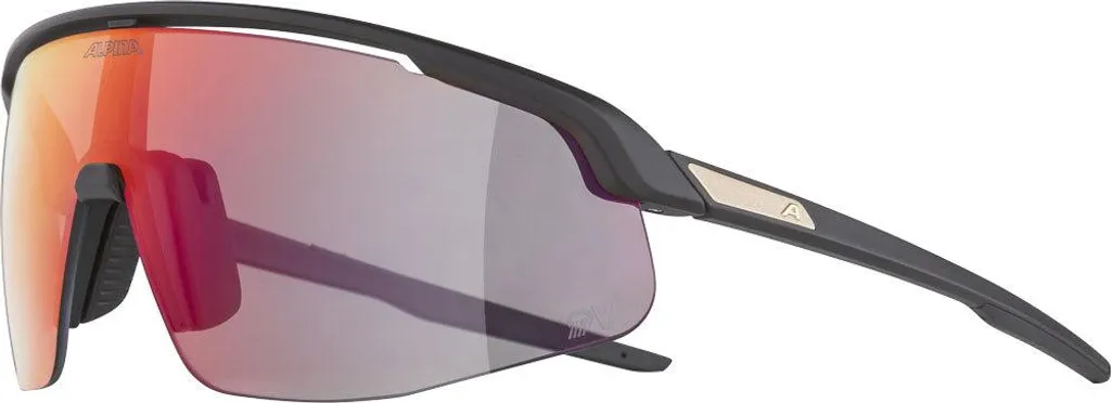 Lunettes QuattroVarioflex Alpina Turbo Pro QV photochromiques haut de gamme