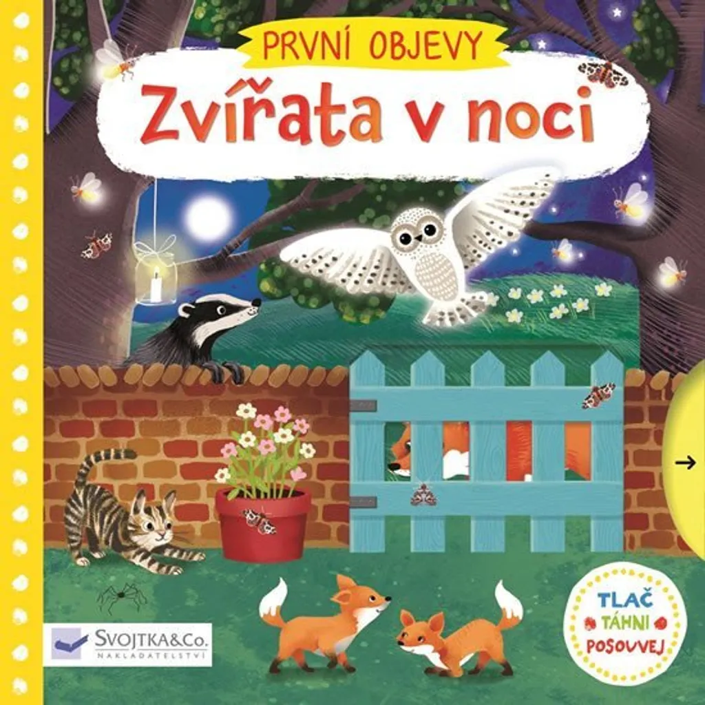 Livre documentaire jeunesse : Les animaux de la nuit illustré 24 pages