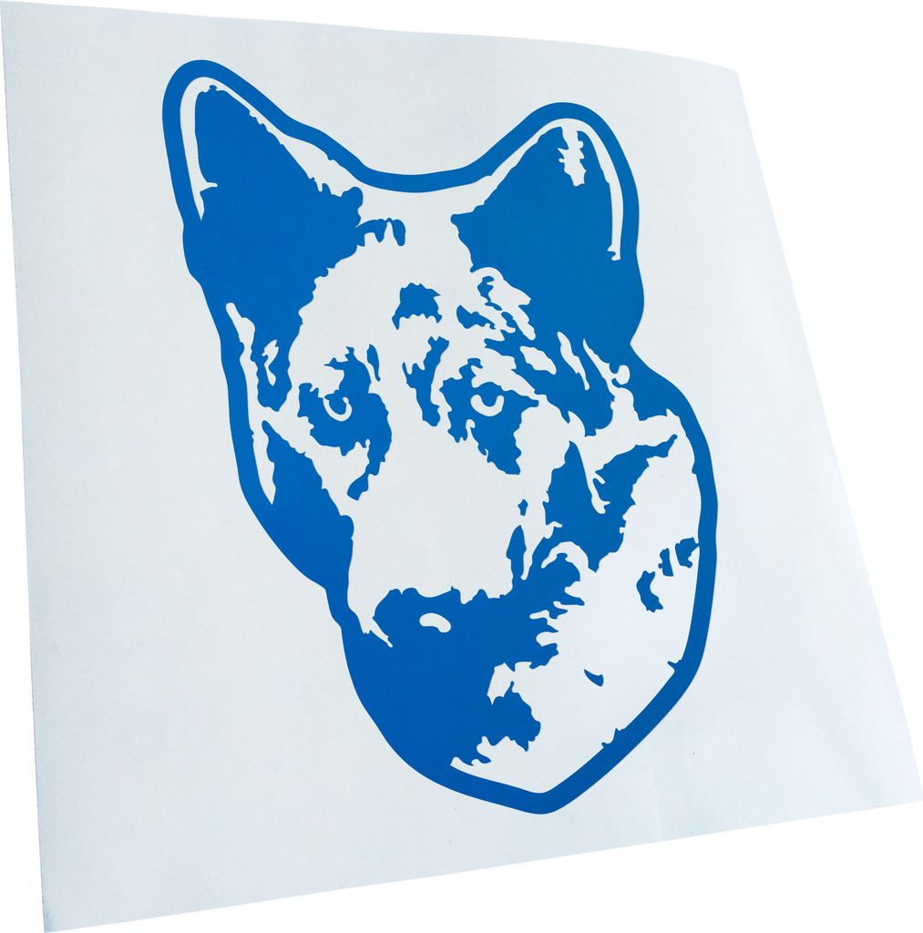 Kiwistar - Autoaufkleber - Mudi Hund - Blau - 60x43cm - Aufkleber für Auto, Laptop, Fahrrad, LKW, Motorrad mehrfarbig JDM Decal Racing