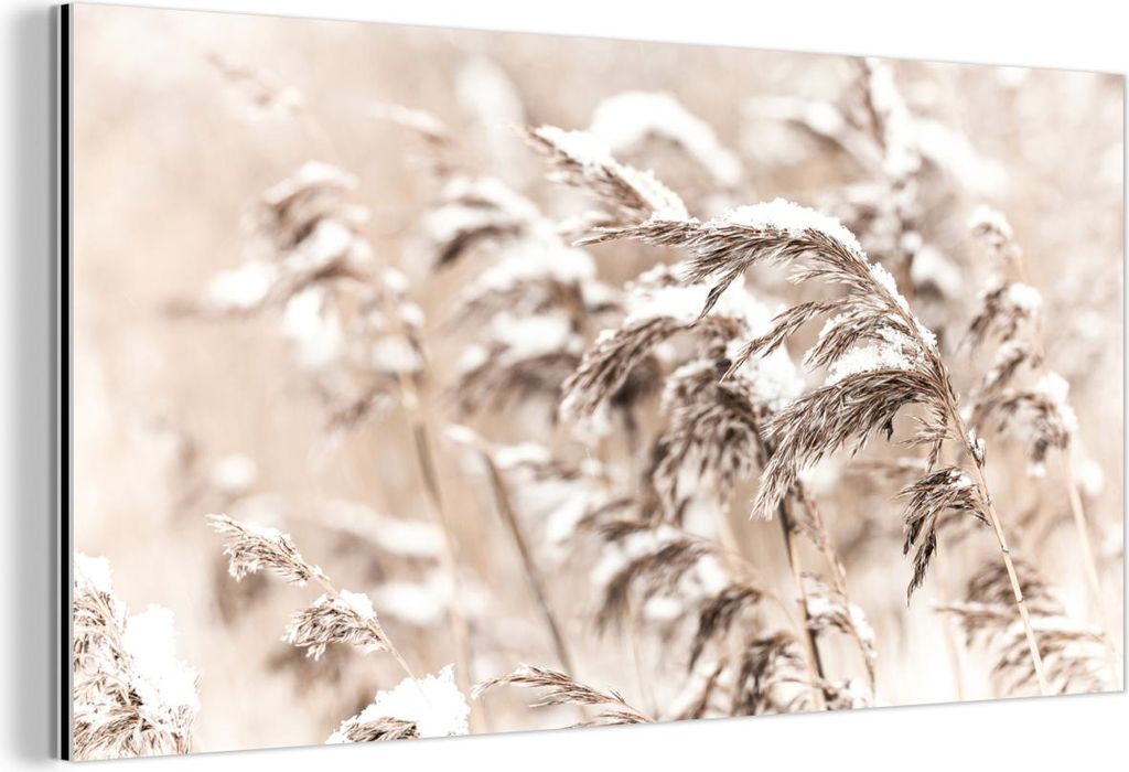 MuchoWow Wanddekoration Metall Metallbild Wandkunst 120x60 cm Winter - Pflanzen - Schnee - Natur - Jahreszeiten MuchoWow Aluminium Gemälde - Metal...