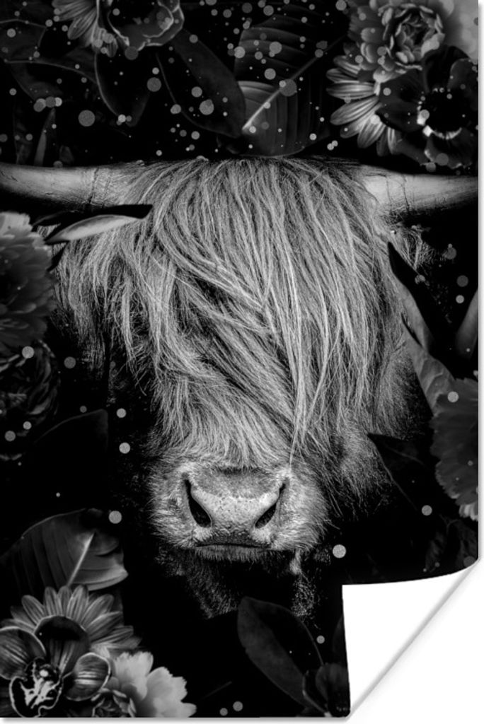 MuchoWow Poster Botanischer schottischer Highlander mit hellen Kugeln auf schwarzem Hintergrund - schwarz und weiß 120x180 cm - Kunstposter